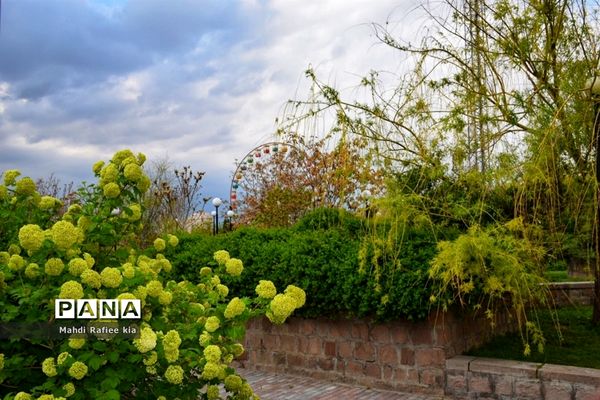 جلوه زیباى بهار در تبریز
