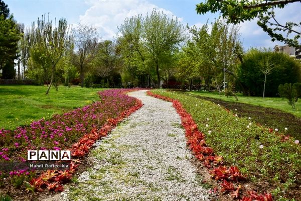 جلوه زیباى بهار در تبریز