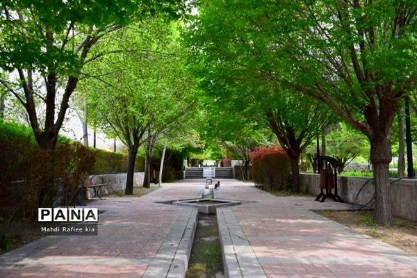 جلوه زیباى بهار در تبریز