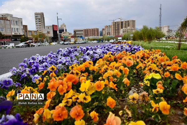 جلوه زیباى بهار در تبریز