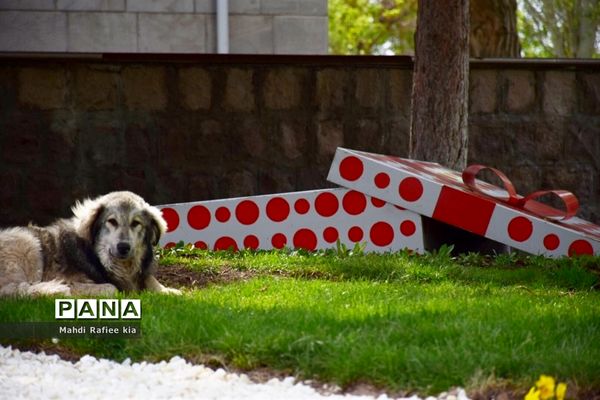 جلوه زیباى بهار در تبریز