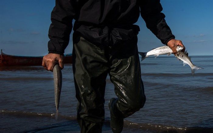 مجروح شدن محیط بان شهرستان لالی در حین برخورد با صیادان غیر مجاز ماهی