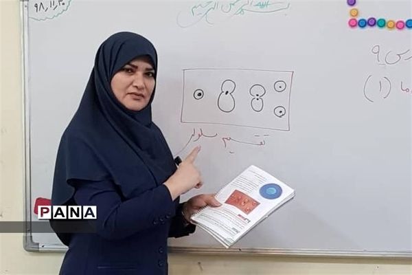 تداوم تلاش معلمان تهرانی برای تدریس در فضای مجازی-2