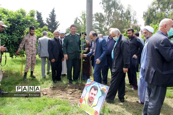 کاشت نهال به نیابت شهدای خان‌طومان در محمودآباد