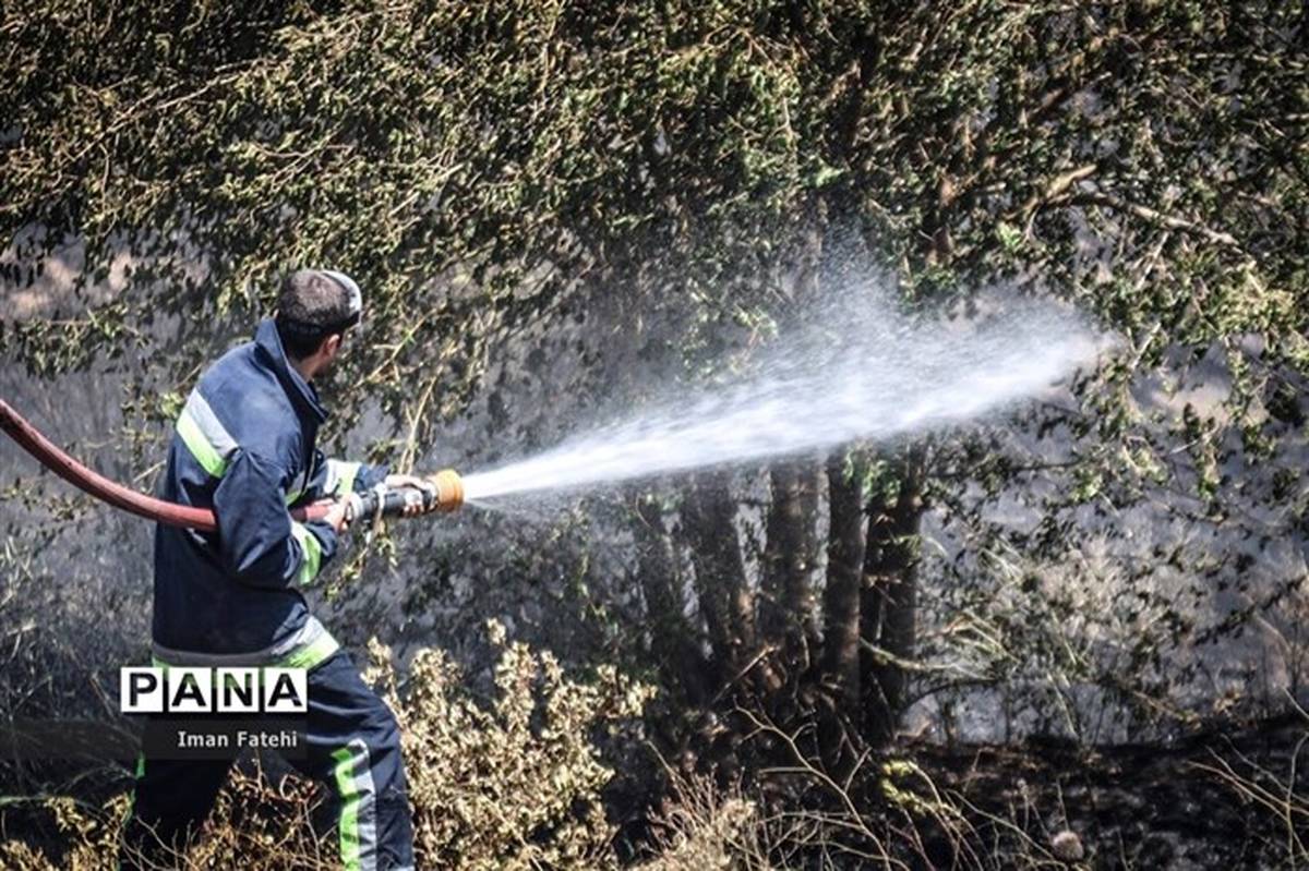 مهار بیش از 33 فقره آتش‌سوزی عرصه‌های منابع طبیعی در 3 روز گذشته در فارس