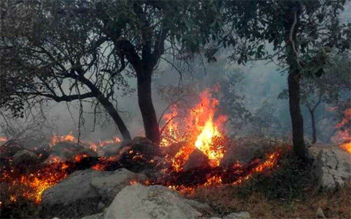 دستگیری عاملان آتش‌سوزی مراتع در مسجدسلیمان