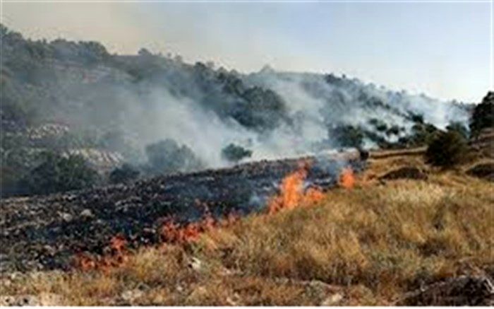 آتش سوزی در مراتع  بخش لوداب استان کهگیلویه وبویراحمد