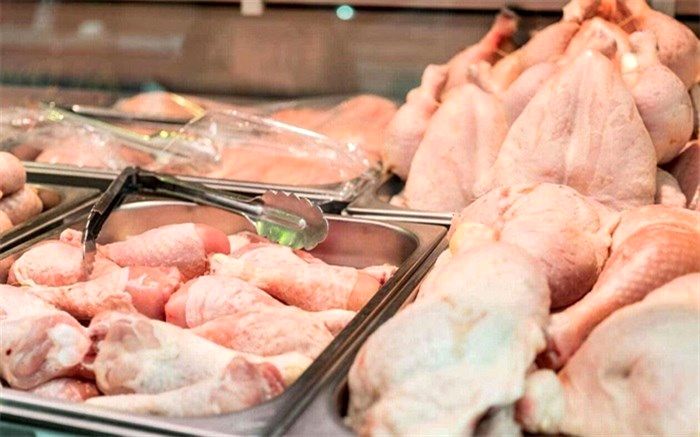مصرف ۹۶ تن مرغ در استان اردبیل