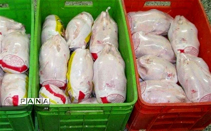فروش مرغ به خارج از شهرستان خرم‌آباد ممنوع شد