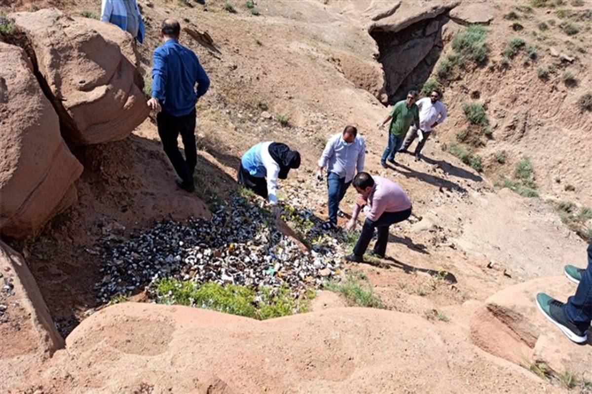 جمع آوری داروهای رها شده در جاده باباباغی