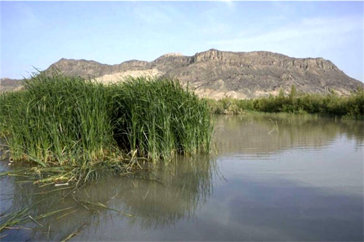 مدیر کل حفاظت محیط زیست سیستان و بلوچستان: حذف دایک تالاب هامون با هدف حفظ آن انجام شده است