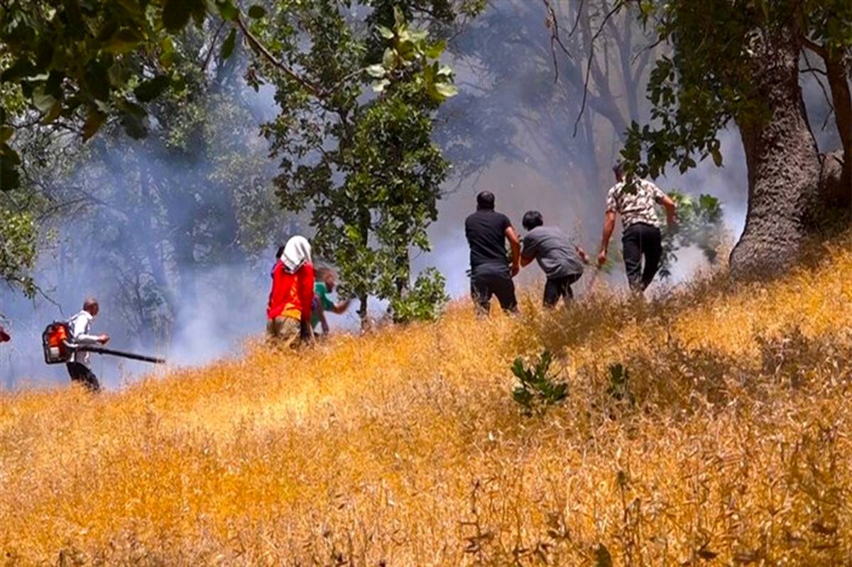 مهار ۹۰ درصدی آتش‌سوزی مراتع ارسباران