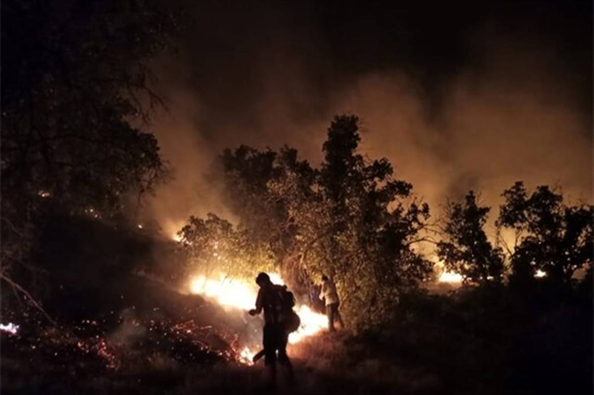 آتش سوزی جنگل‌های دمچنار  بویراحمد همچنان ادامه دارد