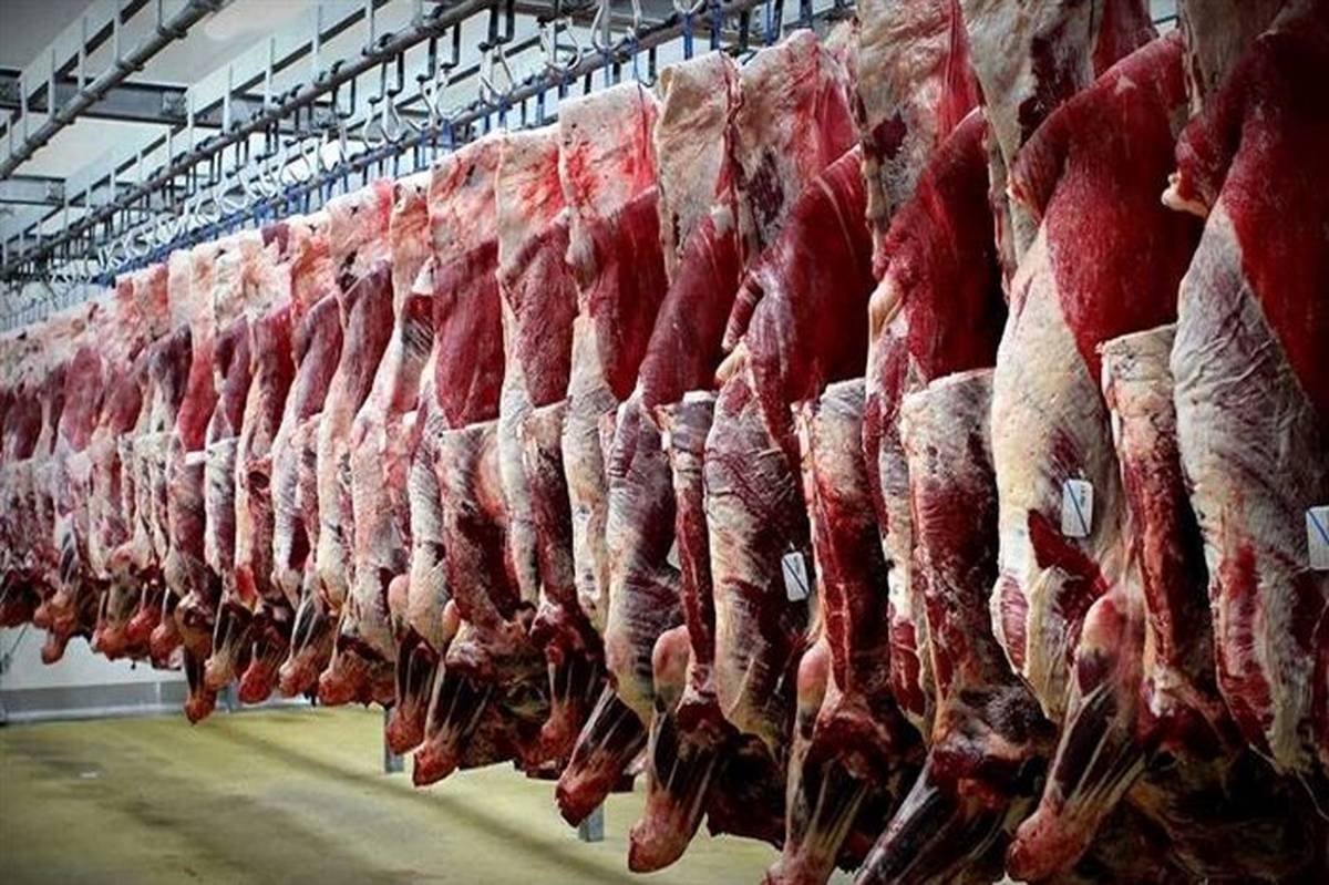 رشد ۳۹ درصدی تولید گوشت قرمز در خرداد۹۹