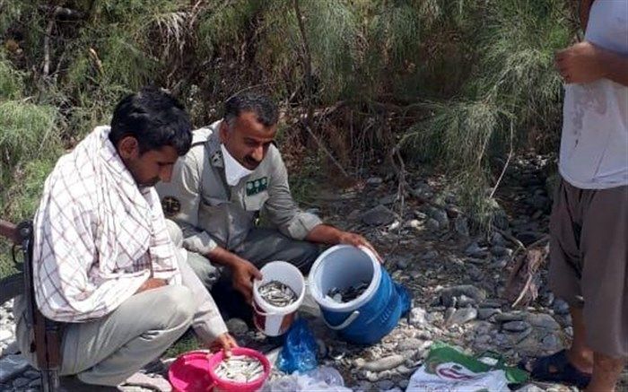 عامل صید با مواد شیمیایی در سیستان و بلوچستان دستگیر شد
