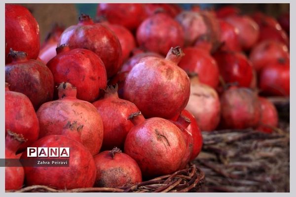 نمایشگاه مجازی آثار هنرجویان هنرستان نمونه دولتی مهر در شیراز