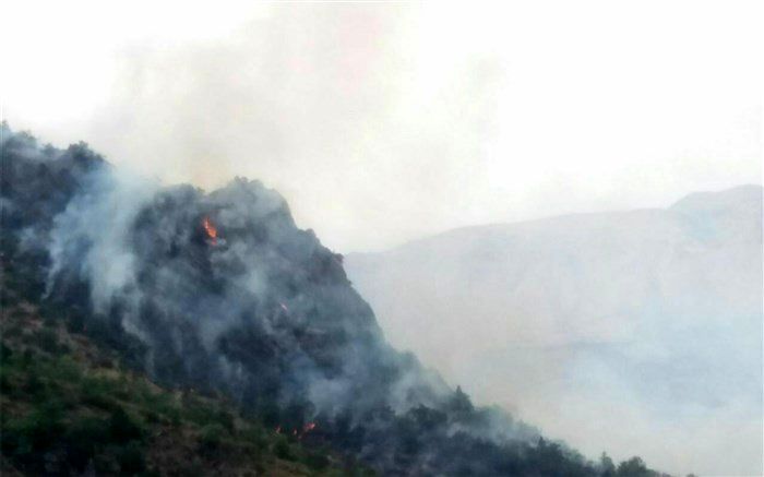 هشدار محیط زیست مازندران: آتش‌سوزی در کمین جنگل‌ها و مراتع