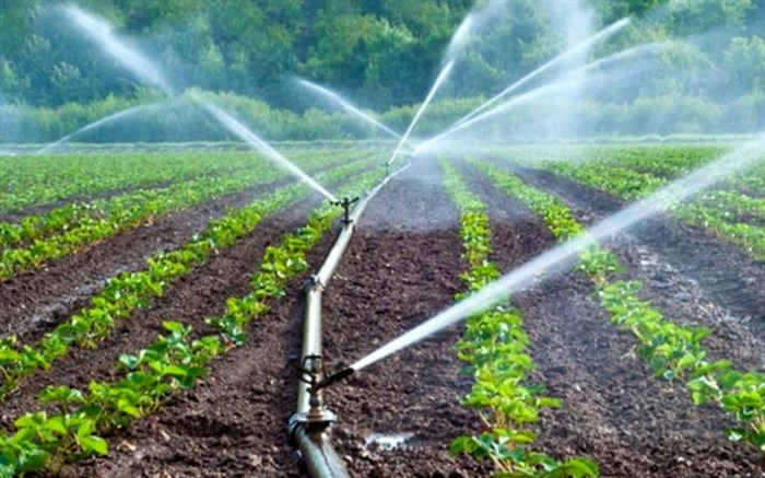کاهش مصرف آب کشاورزی حوضه دریاچه ارومیه