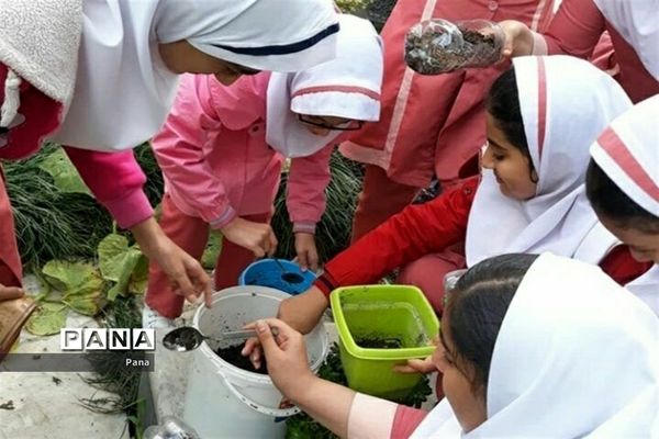 دانش‌آموزان مازندران؛ همیاران محیط زیست