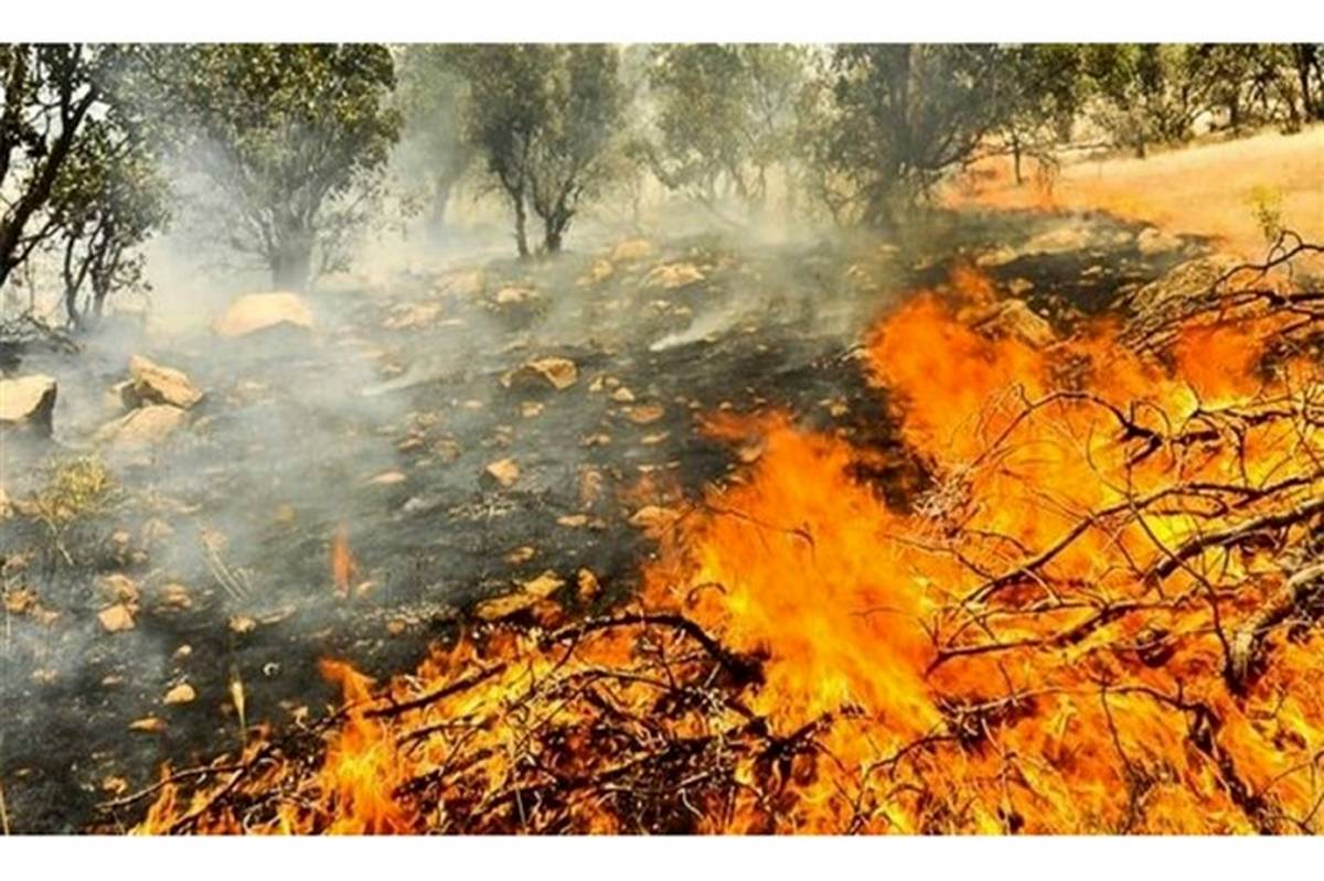 جنگل‌های ایران در محاصره آتش