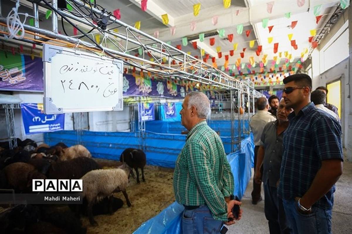 ذبح دام حجاج تهرانی در عید قربان فقط در کشتارگاهها