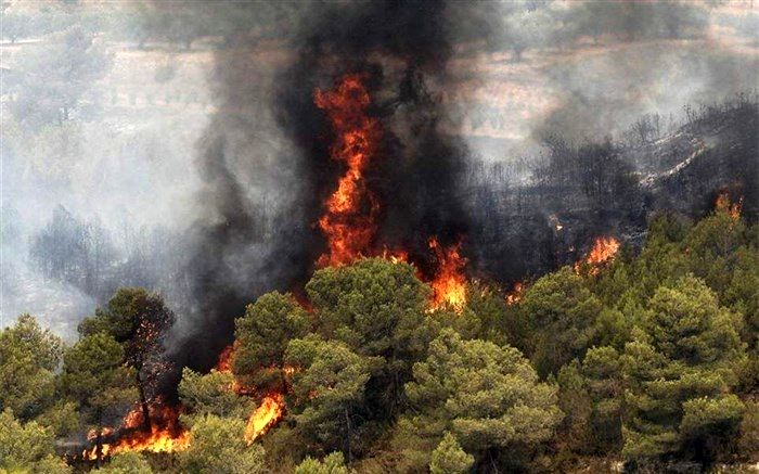40 هکتار از اراضی جنگلی نی ریز در آتش بی احتیاطی سوخت