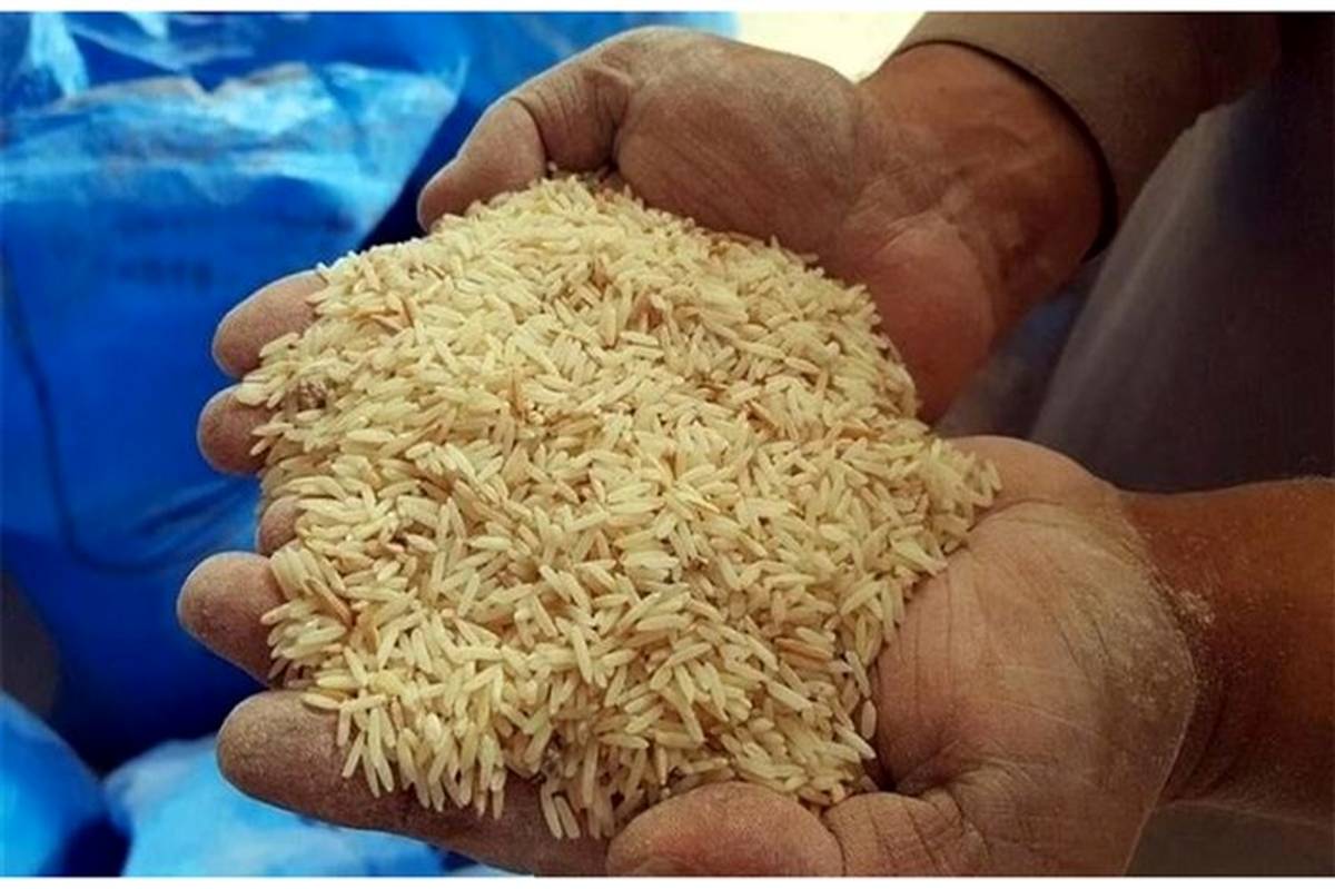 ترخیص ۸۰ هزار تن برنج تا پایان مردادماه از گمرک
