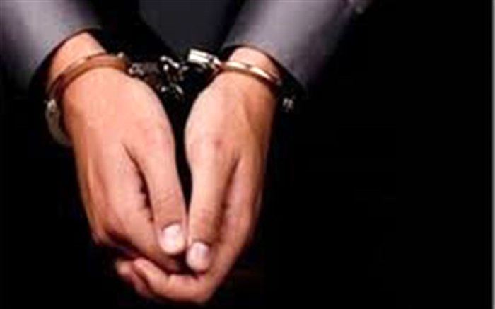 دستگیری ۴ سارق و کشف ٥ فقره سرقت در شهرستان نى‌ریز