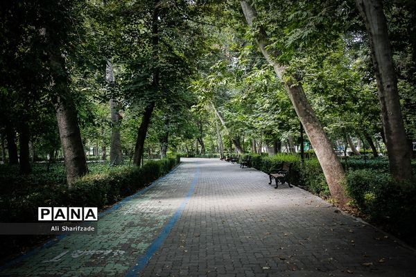 سایه کرونا در پارک