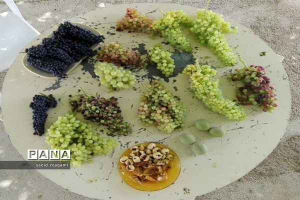 اولین مجموعه باغ نخبه استان فارس درشهر مشکان