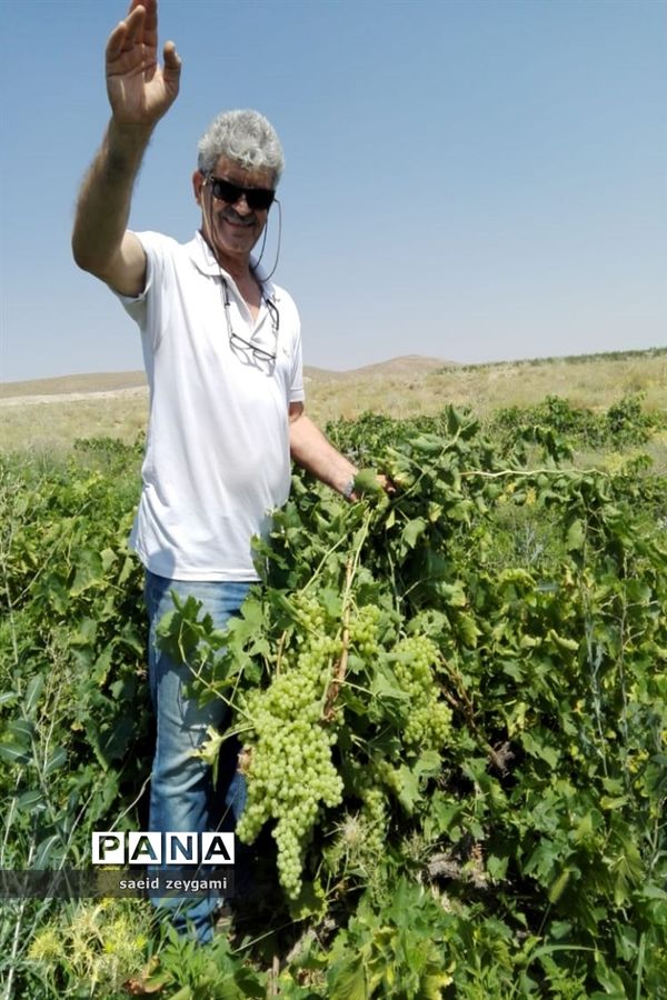 اولین مجموعه باغ نخبه استان فارس درشهر مشکان