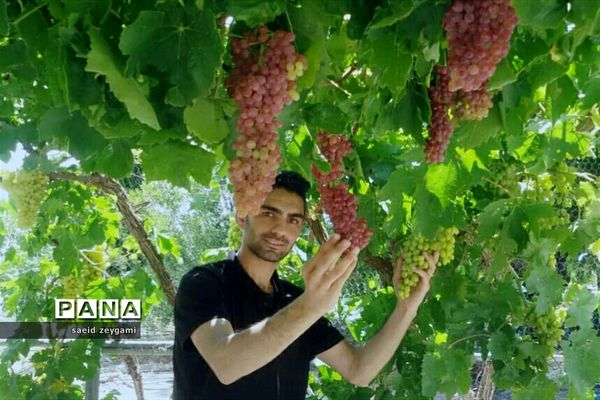 اولین مجموعه باغ نخبه استان فارس درشهر مشکان