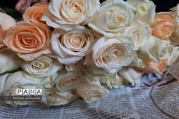 اهدای 1000 شاخه گل رزبه شهروندان شیرازی  به مناسبت عید غدیر