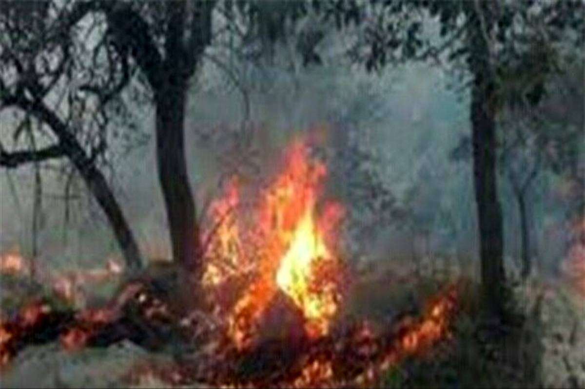 مهار آتش سوزی جنگل‌های "دشتک" شهرستان دنا