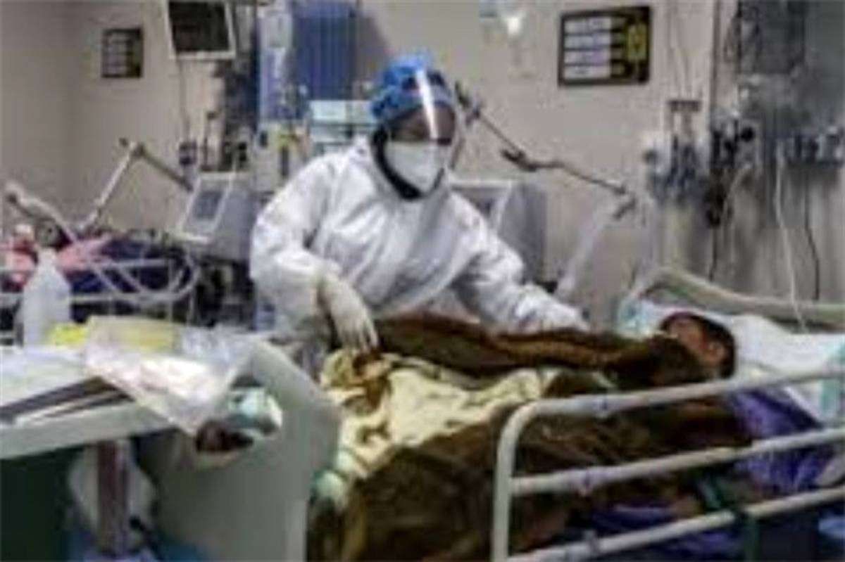۳۲۲ بیمار در بخش‌های کرونایی استان بوشهر بستری هستند