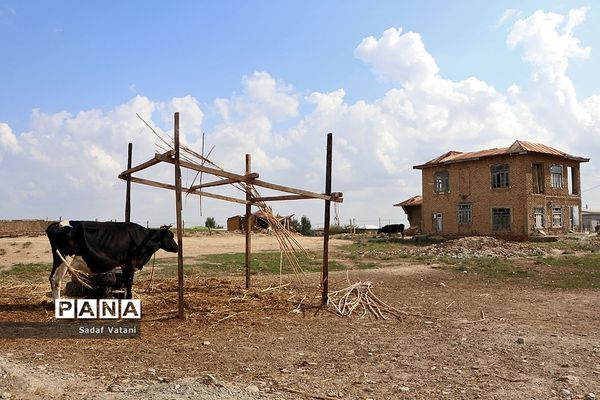 روستای آلتین تخماق