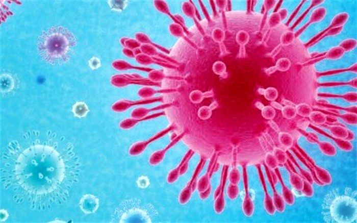 کاهش سریع آنتی‌بادی در بدن پس از آلوده شدن به کروناویروس