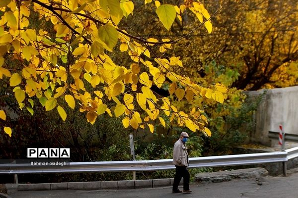 تهران پاییزی