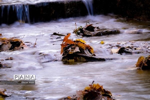 جلوه گری پاییز در مشهد