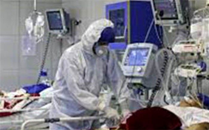 ۲۰۱ بیمار در بخش‌های کرونایی استان بوشهر بستری هستند
