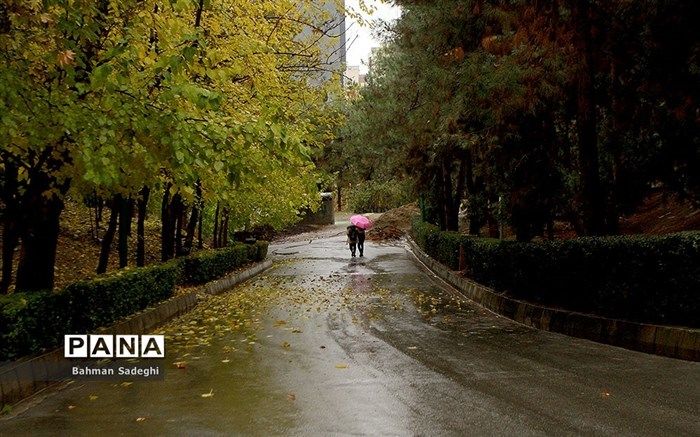 هوای اکثر نقاط کشور تا پایان هفته بارانی است