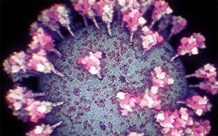 انتشار دقیق‌ترین و به‌روزترین تصویر از ویروس کووید-۱۹