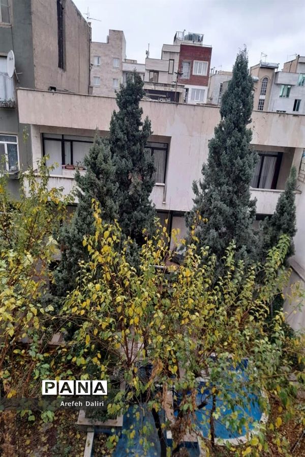 آن سوی قرنطینه