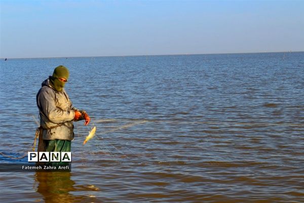 تلاش صیادان سیستانی برای کسب روزی از تالاب بین المللی هامون