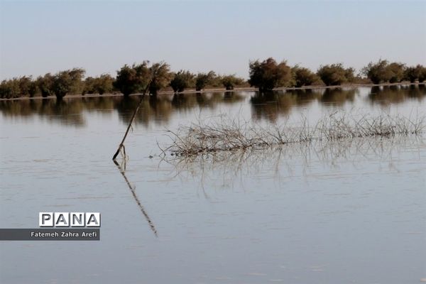 تلاش صیادان سیستانی برای کسب روزی از تالاب بین المللی هامون