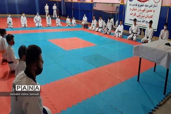 برگزاری دوره آموزشی تکنیکی کاراته در خانه کاراته ملارد
