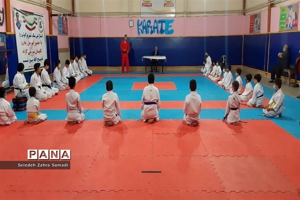 برگزاری دوره آموزشی تکنیکی کاراته در خانه کاراته ملارد