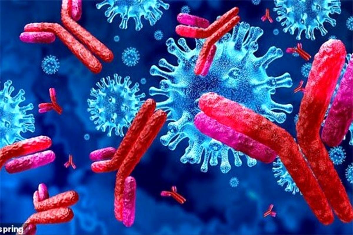 عفونت مجدد به کروناویروس دستکم تا ۶ ماه بعید است