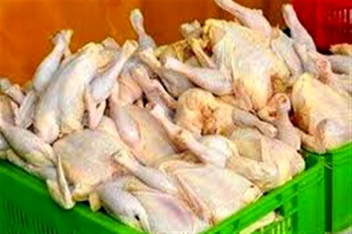 مناسب شدن شرایط قیمتی مرغ ظرف ۱۰ روز آینده