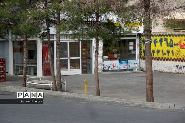 دومین روز از طرح اجرای محدودیت های کرونایی دربیرجند